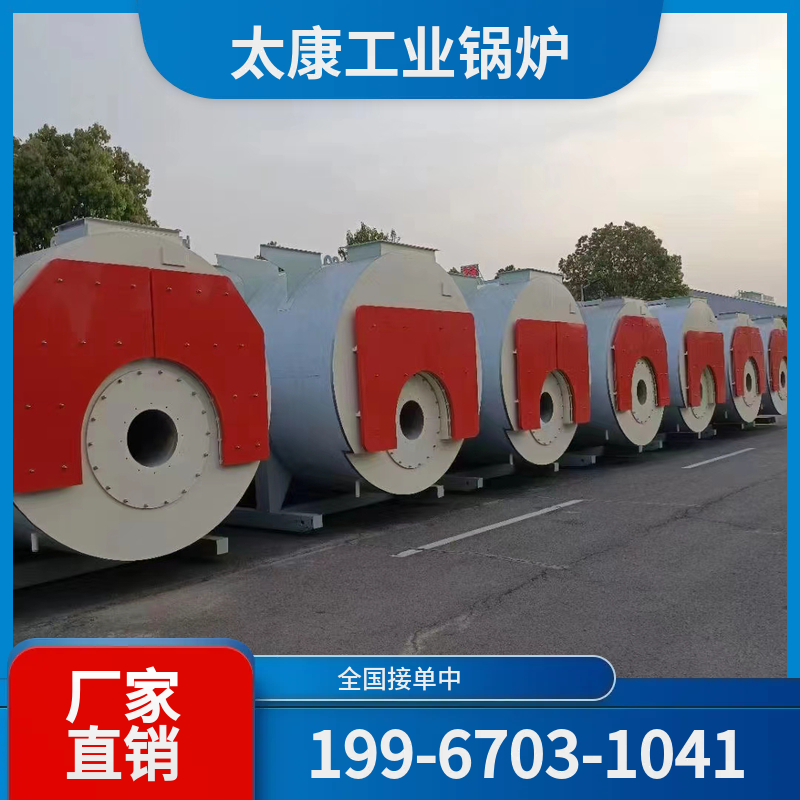 咸宁生物质导热油锅炉